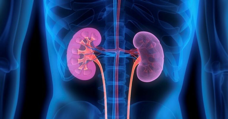 What Are The Habits That Are Damaging Your Kidneys? Health Matters!