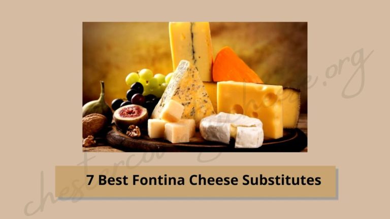 7 Best Fontina Cheese Substitutes – Facts Revealed!