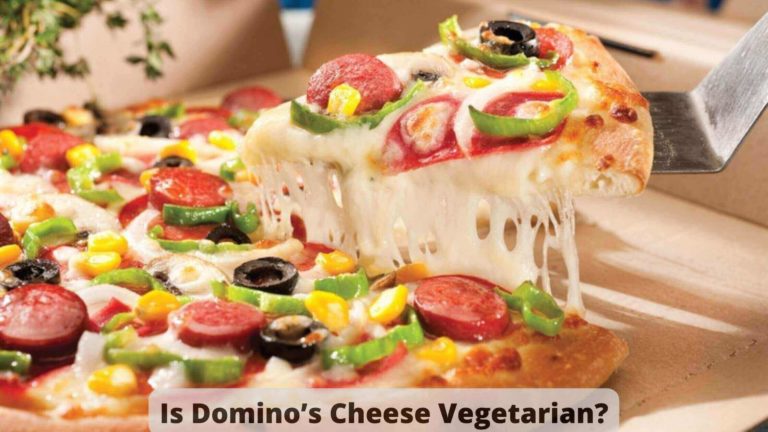 Is Domino’s Cheese Vegetarian? What’s So Special About Domino’s Cheese?