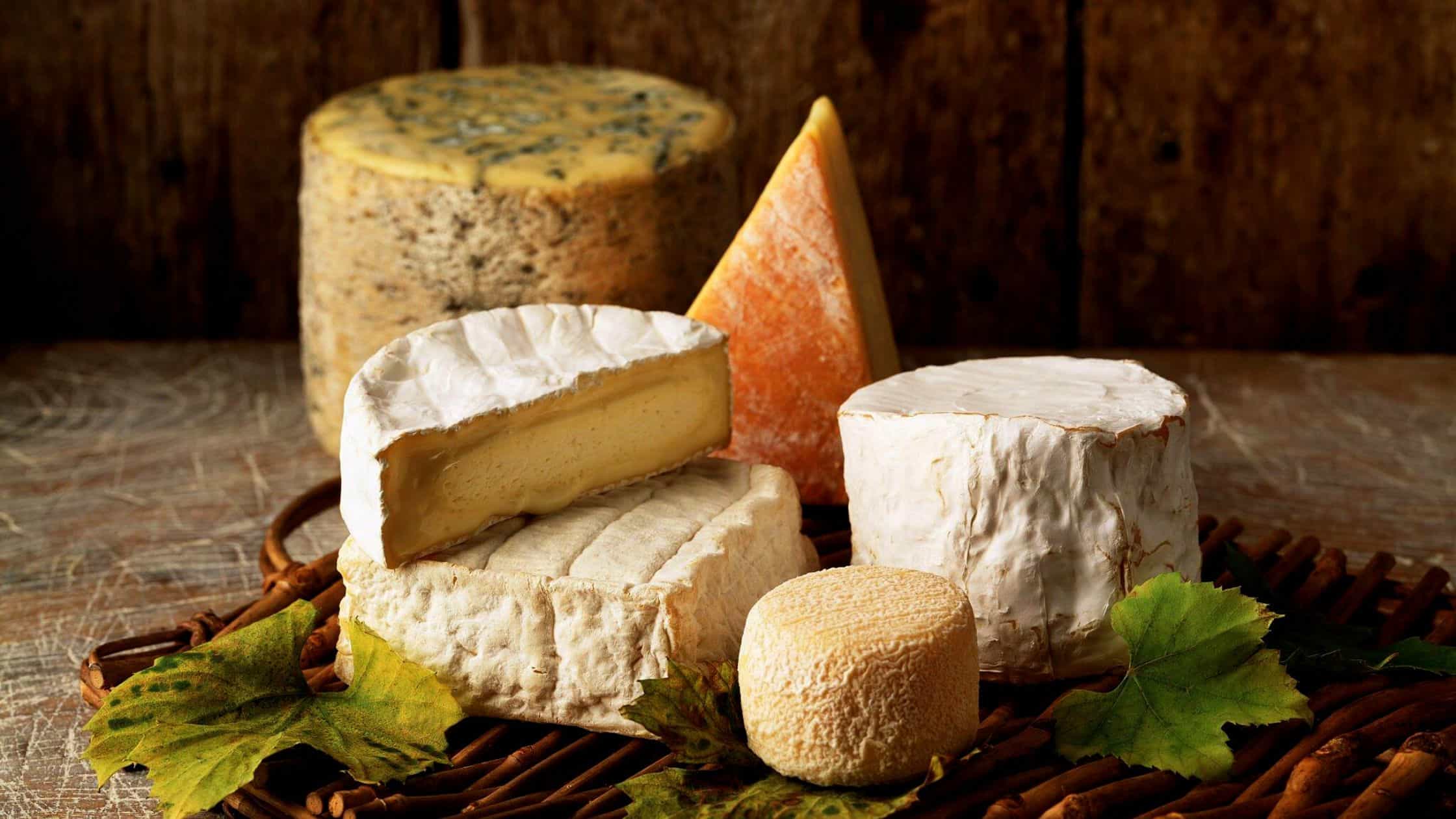 Cheese Varieties Low In Cholesterol And Fat - Pick The Right One!