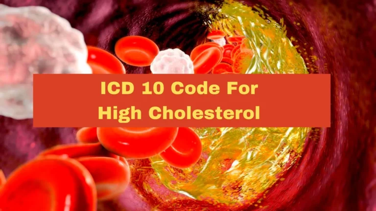 ICD 10 Code For High Cholesterol: What Is The Purpose Of It?