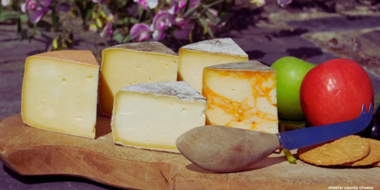 Muffet Cheese – Everything You Need To Know!