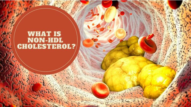 What Is Non-HDL Cholesterol And How To Lower It? – An Easy Guide
