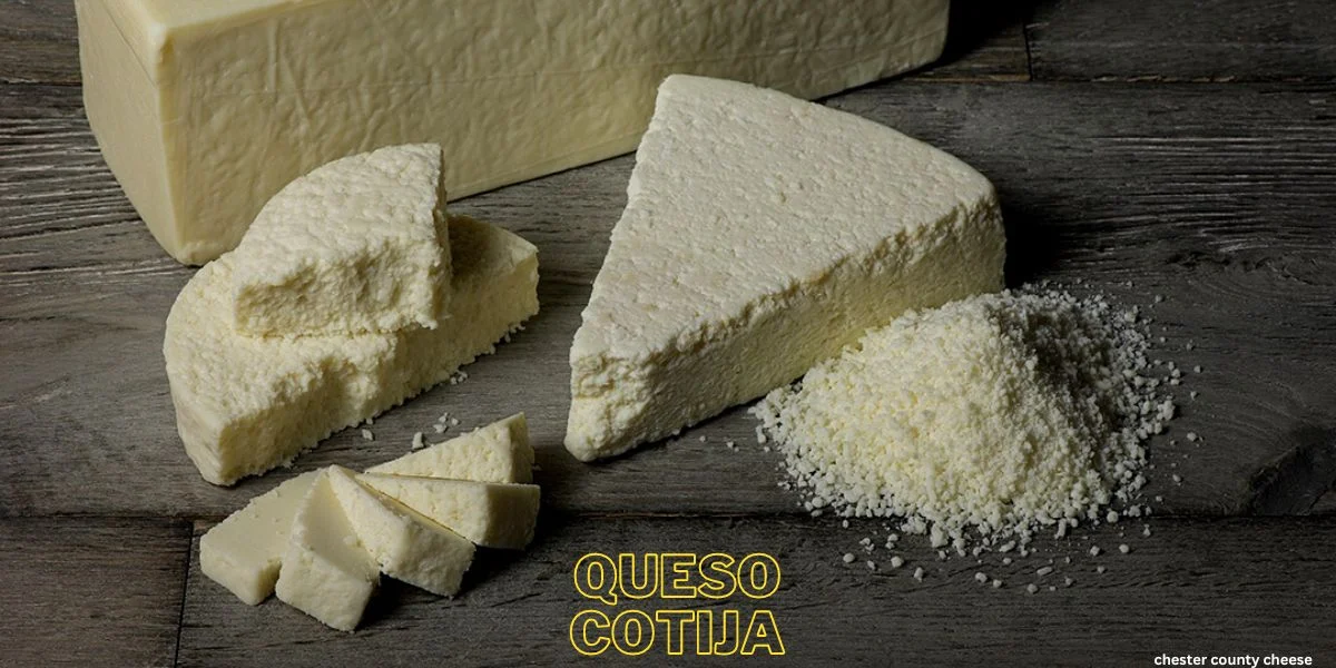 Queso Cotija - Everything You Need To Know!