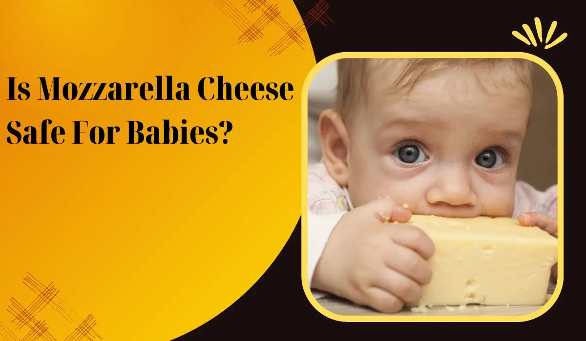 Mozzarella Cheese Safe For Babies