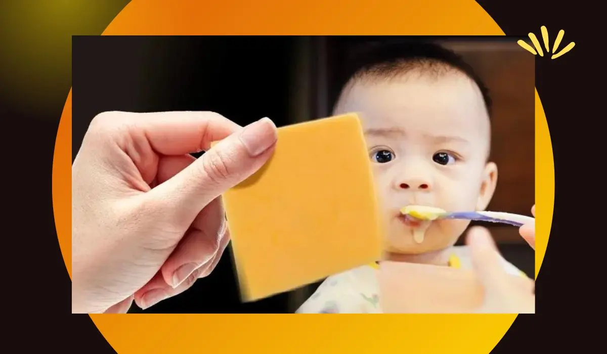 Mozzarella Healthy For Babies