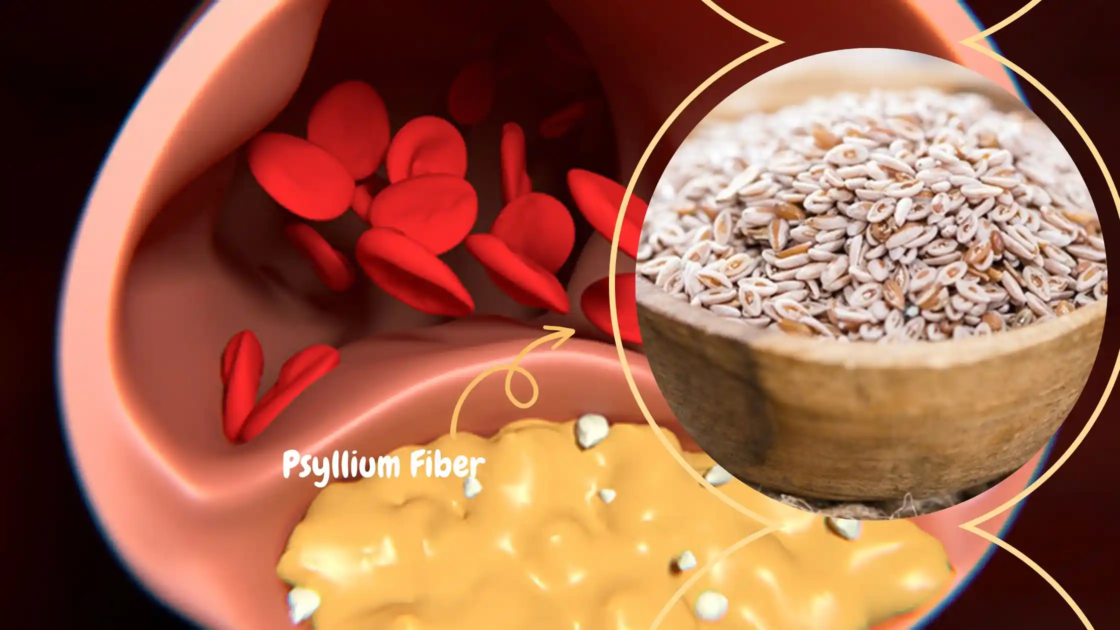 Psyllium Fiber and Cholesterol 
