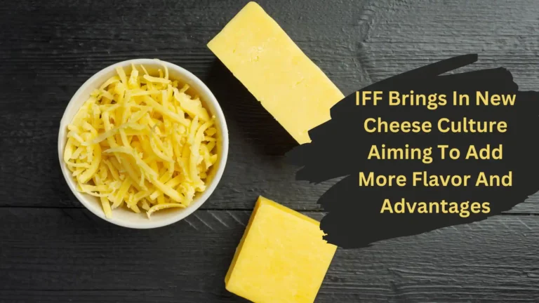 IFF Brings In New Cheese Culture Aiming To Add More Flavor And Advantages