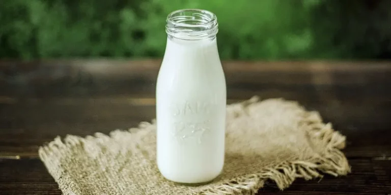 What Kind of Milk Helps You Shed Weight Most Effectively?