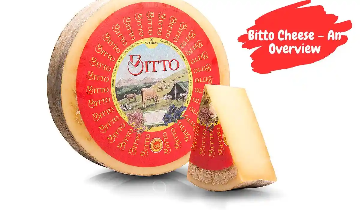 Bitto Cheese