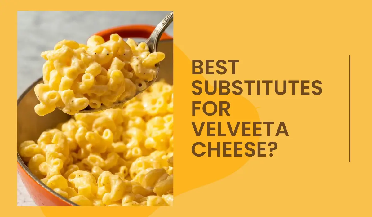 best Substitutes for Velveeta cheese