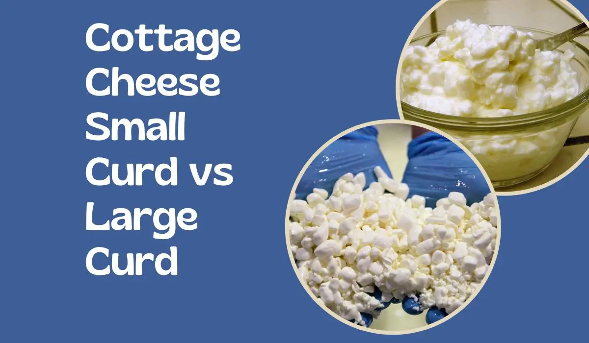 Cottage Cheese Small Curd vs Large Curd