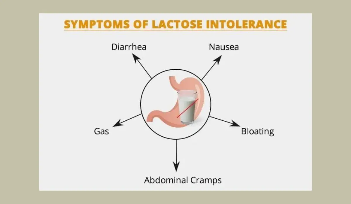symptoms of Lactose Intolerance