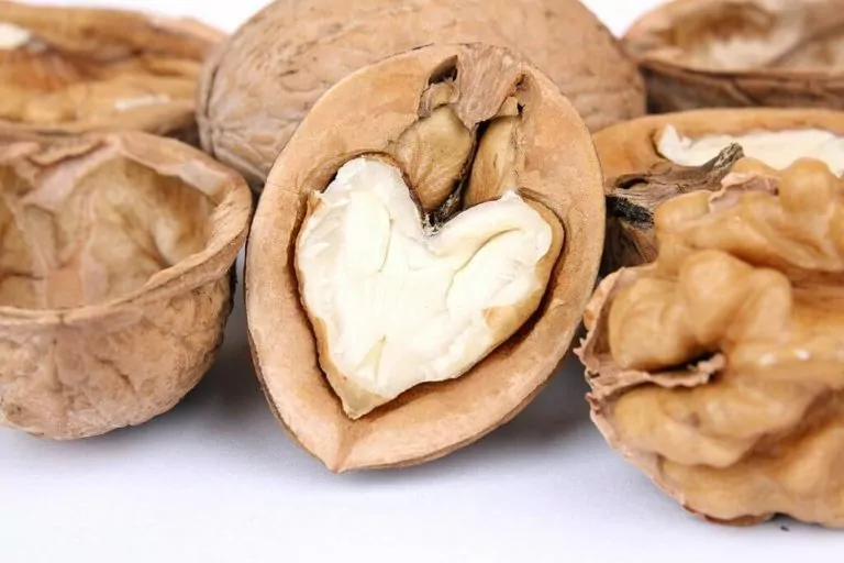 Eating Walnuts Daily Lowers LDL – Reduces Heart Disease Risk!