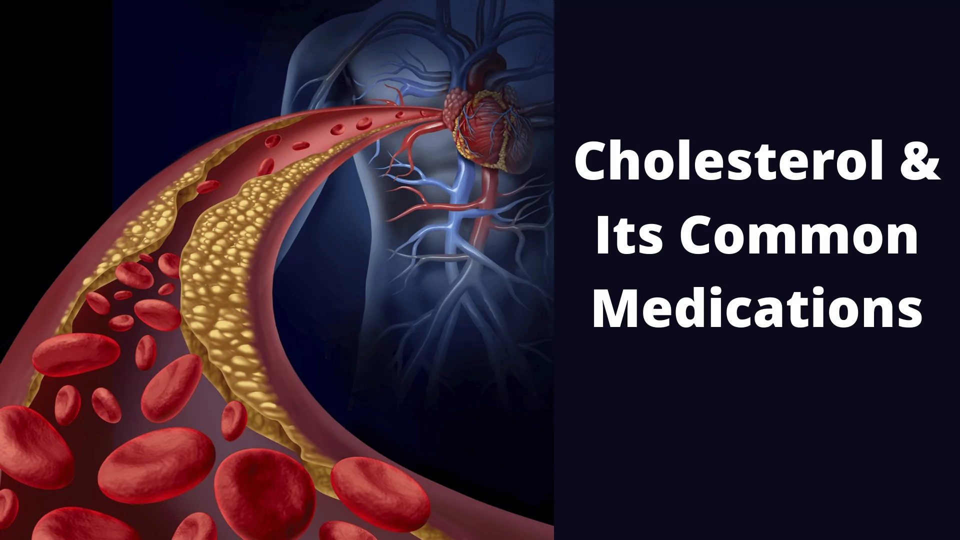 Cholesterol & Its Common Medications (2) (1)