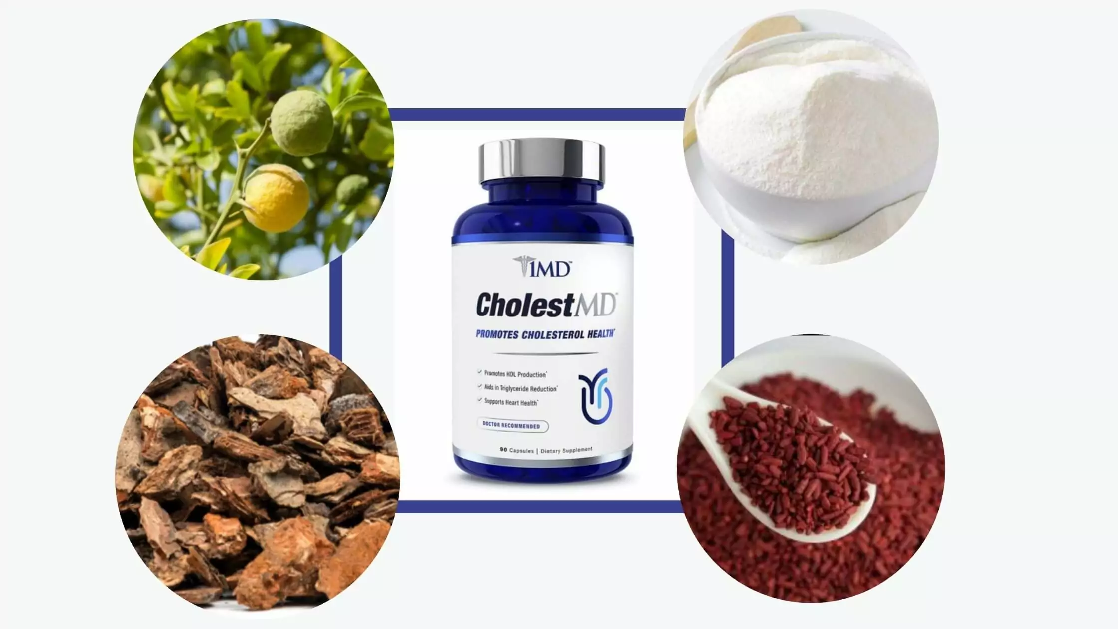 CholestMD Ingredients