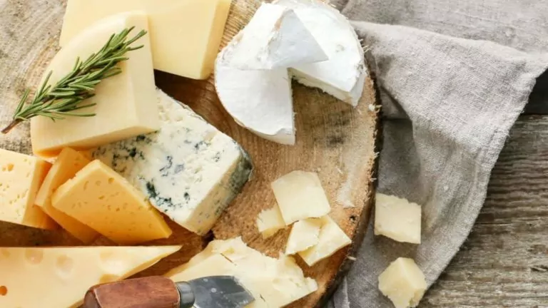 The Quest For The Best Cheese Brands Is Over! 6 Healthiest Cheese Brands In US 2023