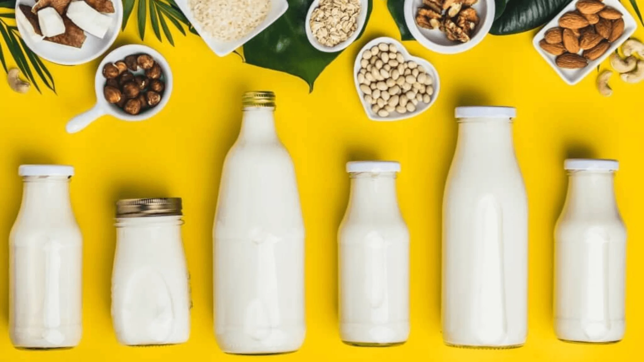 9 Best And Worst Milk For Lowering Cholesterol!