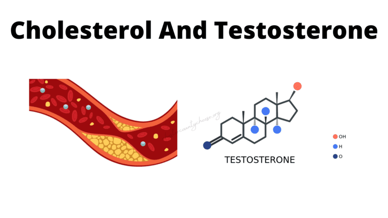 Cholesterol And Testosterone – How They Are Related?