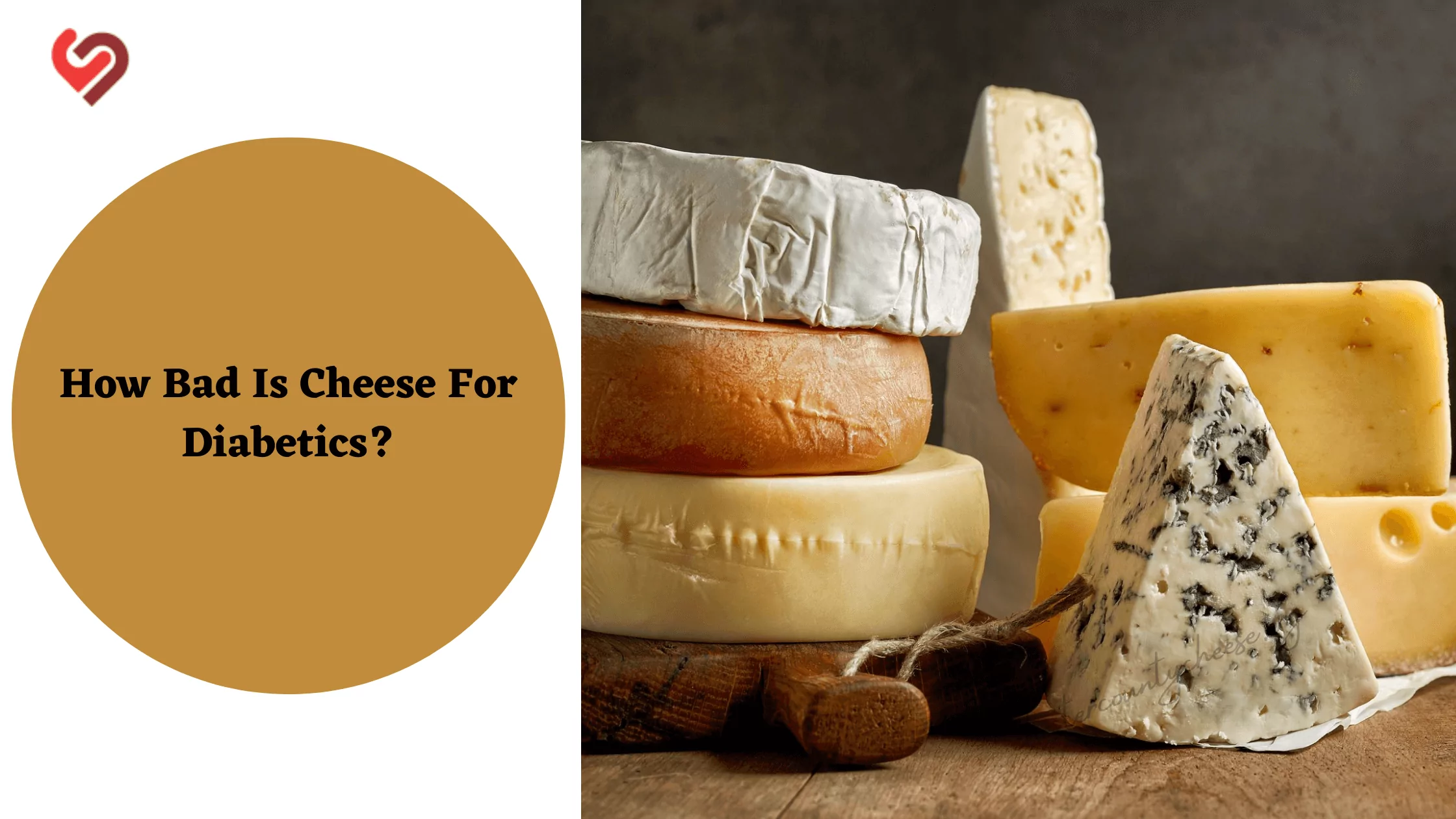 How Bad Is Cheese For Diabetics