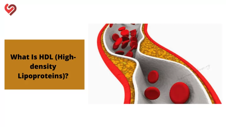 What Is HDL (High-density Lipoproteins)?