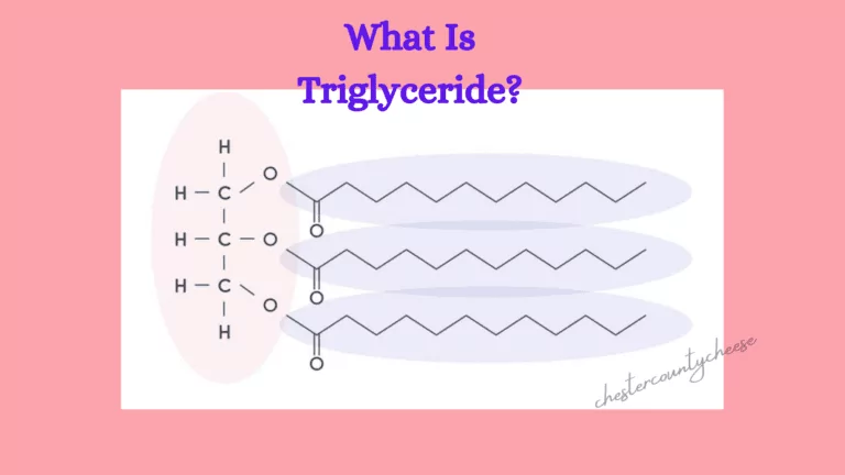 What Are Triglycerides? How To Lower Triglyceride Level?