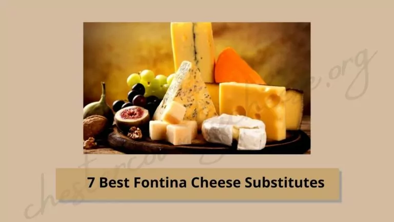 7 Best Fontina Cheese Substitutes-Healthier Options