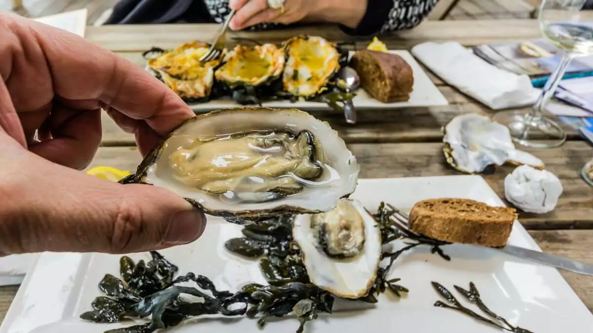 Are Oysters Good For Lowering Cholesterol