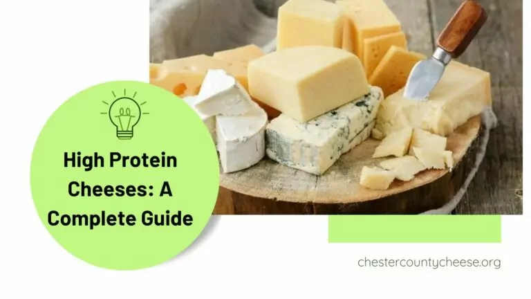 High Protein Cheeses: A Complete Guide!