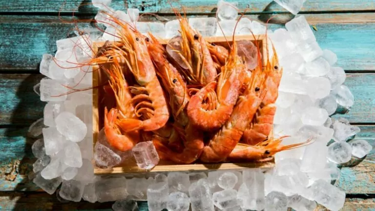 Are Shrimp Bad For Cholesterol? Facts Checked!