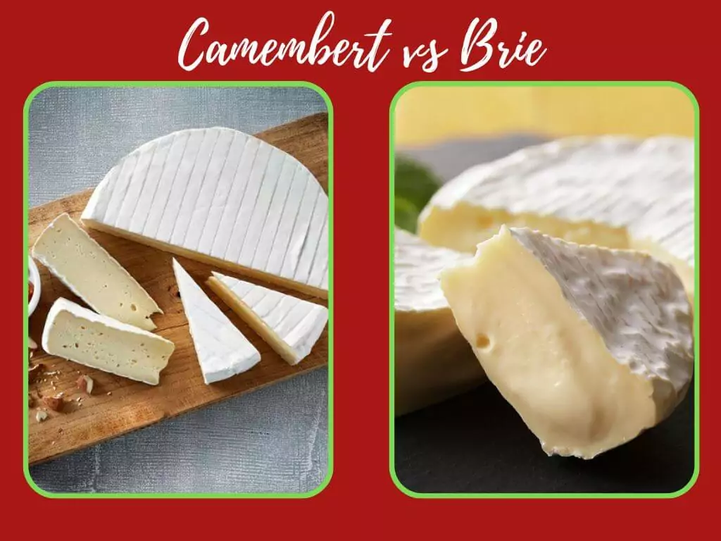 Camembert And Brie Cheese