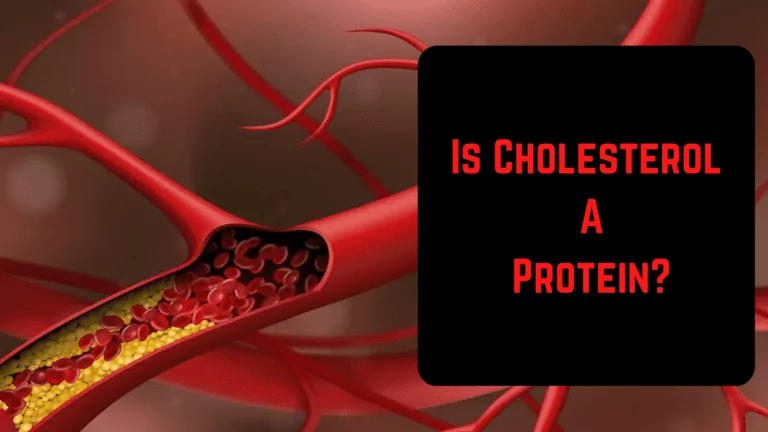 Is Cholesterol A Protein? Types And Levels!
