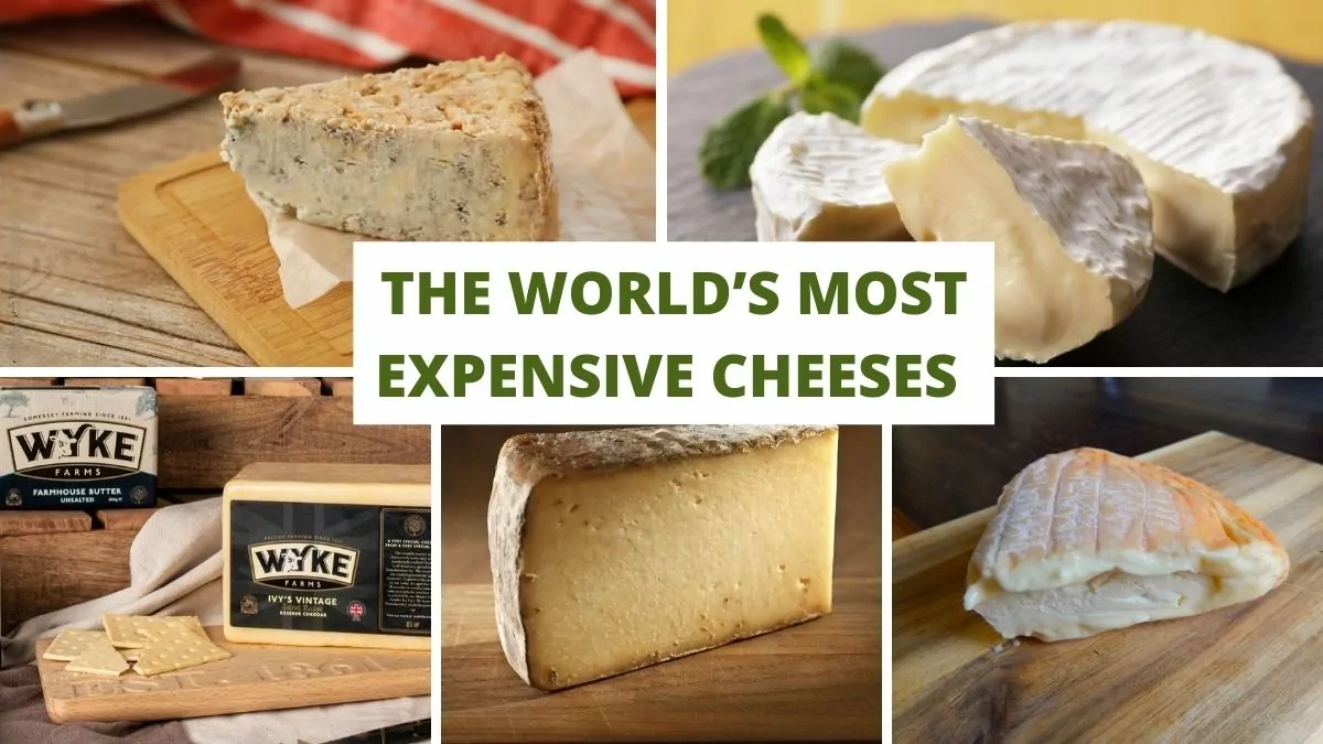The World’s Most Expensive Cheeses 